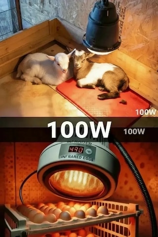 Bay 100w Kızılötesi İnfrared Isıtıcılı Hayvan Isıtma Ve Kuluçka Lambası Kırmızı Işık E27 Kalın Duy
