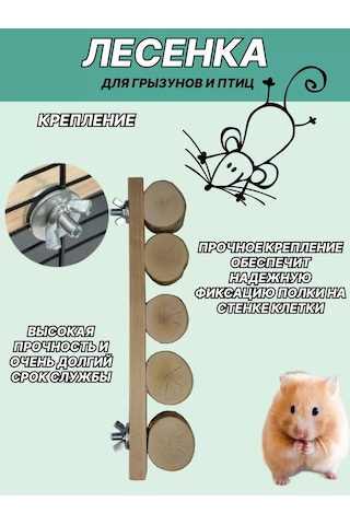 Mouse House Kemirgenler Ve Kuşlar İçin Merdiven 209533534