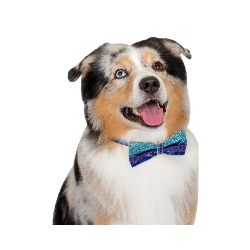 Show Tech Köpek Süs Papyonu Simli Dickie Bow 10 Parça Diğer