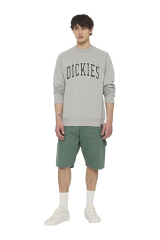 Dickies Dıckıes Aıtkın Sweatshırt 9115 Çok Renkli