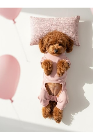 Minimini Kalpler Pembe Köpek Uyku Takımı Pamuklu Penye Köpek Tulumu Ve Mini Yastık Küçük Irklar İçin Tüy Dökülmesini Azaltır