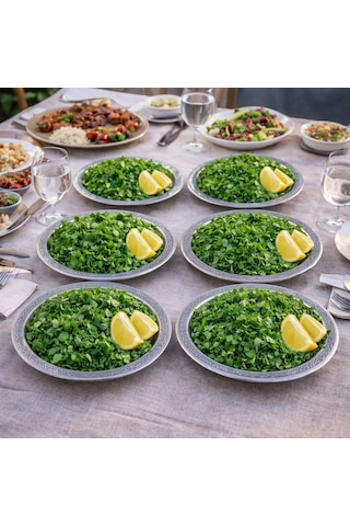20 Cm Servis Sunum Tepsisi 6 Adet 430 Kalite Krom Çelik Fırına Uygun, Kararma Yapmaz, Meze Kebap Kahve Sunumluk Gri