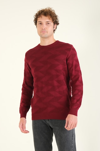 Giyim Dünyası Erkek Kendinden Desenli Sıfır Yaka Kazak Bordo 001