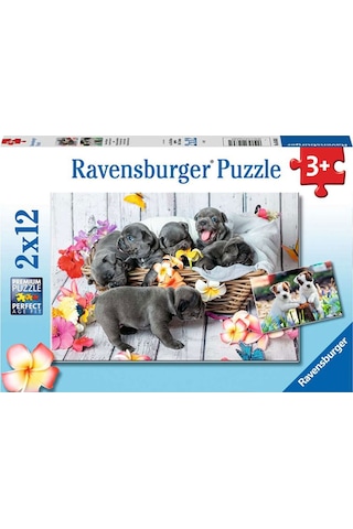 Ravensburger 2x12 Parça Puzzle Yavru Köpekler 56361