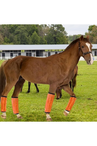 Homyl 4 Adet At Sineği Botları Binicilik Ekipmanları Turuncu Turuncu