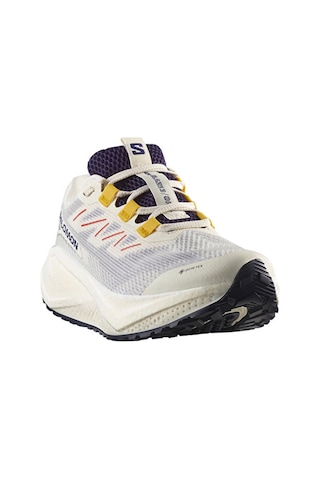 Salomon Aero Blaze 3 Grvl Gore-tex Unisex Outdoor Koşu Ayakkabısı L47974100 Beyaz Beyaz