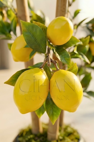 Cihan Çiçekçilik Yapay Limon Bambu Ağacı - Beyaz Küre Saksılı 100 Cm