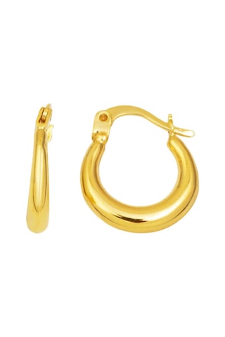 Bilezikci Hilal Halka Altın Küpe Sarı Altın