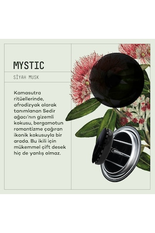 Vavana Araba Klima Kokusu Spin Oto Kokusu Mystic