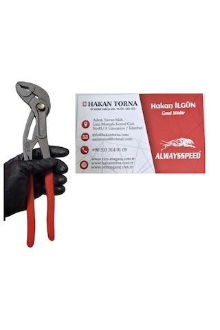 Pro 300mm Papağan Pense Ayarlı Ford Pense Düğmeli Cr-v