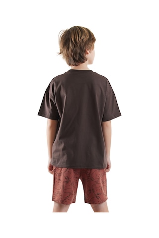 Denokids Play Erkek Çocuk Basic T-shirt Şort Takım Renkli Çok Renkli