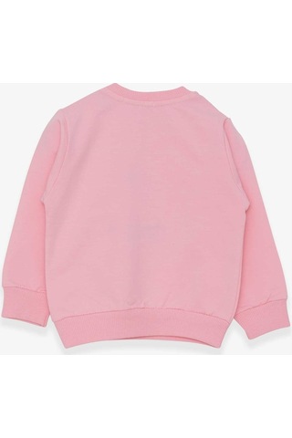 Breeze Kız Çocuk Sweatshirt Nakışlı Pullu 1-4 Yaş, Pudra ((553858002) Çok Renkli