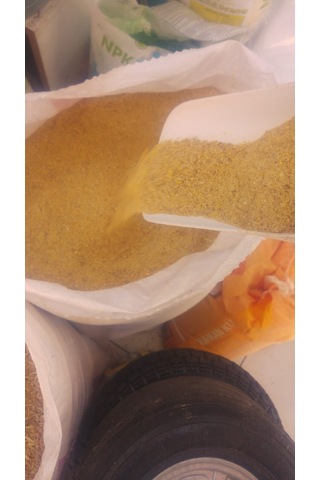 Misir Buğday Karişimi Özel Yem Tavuk - Hindi - Ördek - Güvercin 3  Kilo
