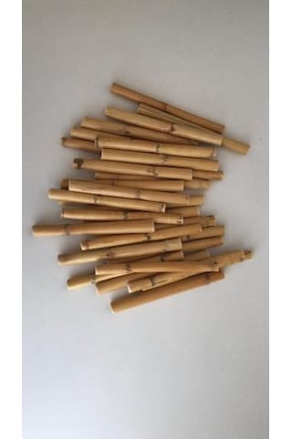 Bambu 10 Cm 12 'li Paket