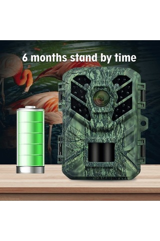 Dancemonkey Kamera Gece Görüşlü Yaban Hayatı İzleme, Hareket Aktivasyonlu Küçük Oyun Kamera Çok Renkli