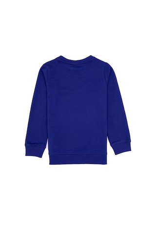 U.S. Polo Assn. Erkek Çocuk Mor Basic Bisiklet Yaka Sweatshirt 50313830-VR038