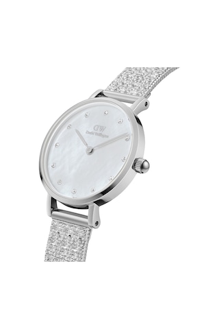 Daniel Wellington Dw00600592 Kadın Kol Saati Diğer