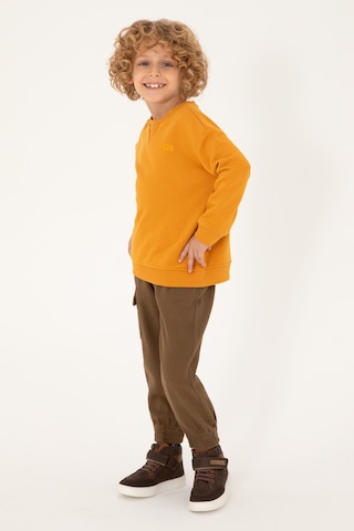 U.s. Polo Assn. Erkek Çocuk Haki Pantolon Kanvas-chino 50298581-vr027 Haki