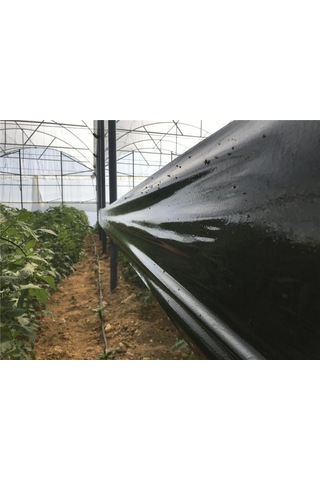 30 X 100 Cm Yapışkan Siyah Rulo Tuzak