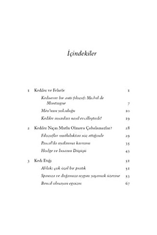 Kedi Felsefesi: Kediler Ve Hayatın Anlamı