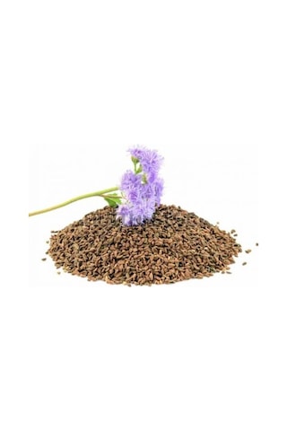 Arı Otu Faselya 500 GR 500 GR