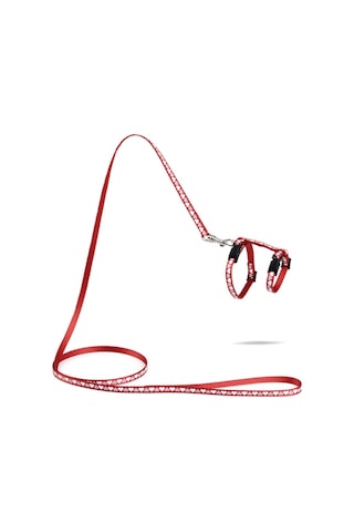 Beeztees Yavru Kedi Göğüs Tasması Ve Gezdirme Kayışı 120cm, Kırmızı, 16-25cm Boyun, 23-36cm Göğüs