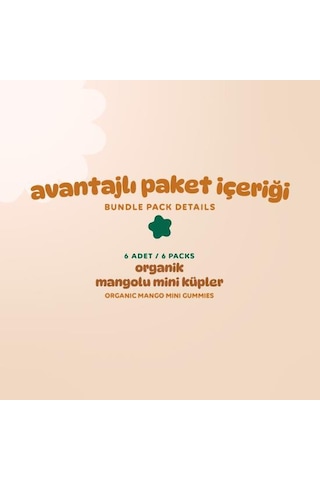 Organik Glutensiz Vegan Mangolu Mini Küpler Atıştırmalık Paketi - 6 Adet 180 G