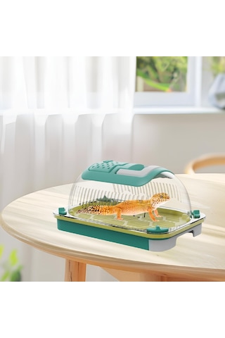 Homyl Terrapin Kaplumbağası Için Sürüngen Teraryumu