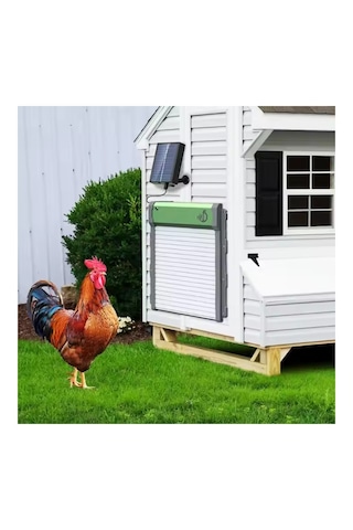 Otomatik Tavuk Kümes Kapısı