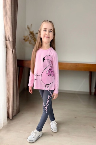 Flamingo Desenli Pembe Renk Kız Çocuk Mevsimlik Taytlı Takım Pembe