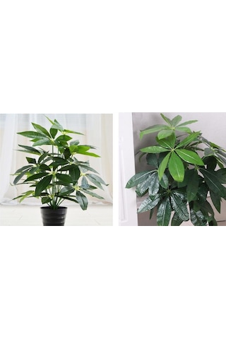 Yapay Çiçek Demet Şeflera Bitkisi 18dal 75cm Salon Çiçeği Yapay Bitki Pachira Macrocarpa