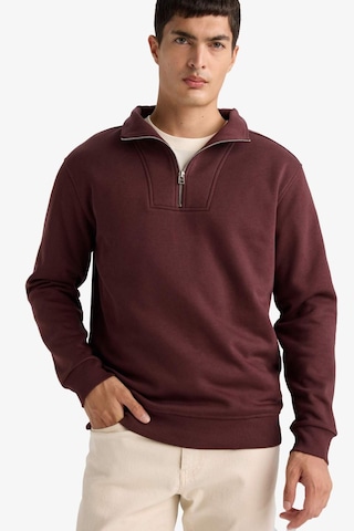 Defacto Regular Fit Yarım Balıkçı Yaka Fermuarlı Kalın Sweatshirt F4136ax25aubr230 Bordo