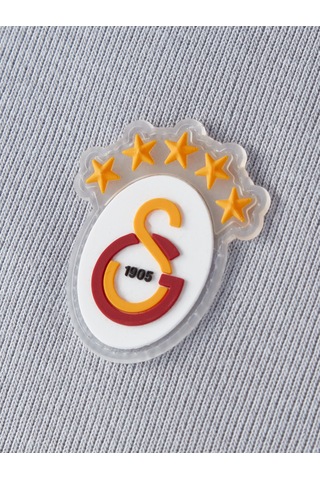 Gsstore Galatasaray Erkek Polo T-shirt E252103 Gri