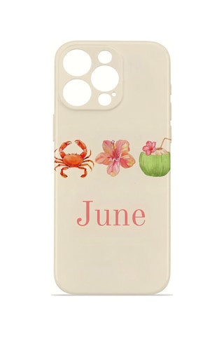 Apple iPhone Uyumlu 16 Pro Vorian İnce Kamera Korumalı Mika Kılıf June Seaside June Seaside Mika