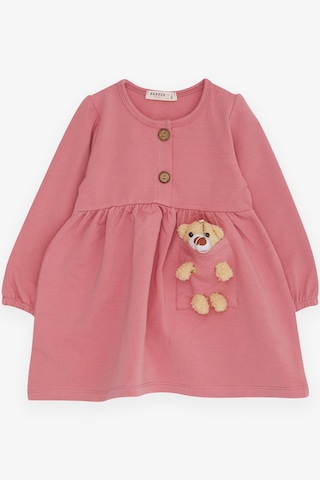 Breeze Kız Çocuk Uzun Kollu Elbise Ayıcık Aksesuarlı 2-6 Yaş, Gülkurusu