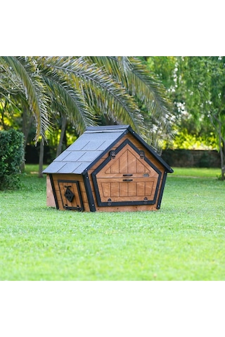 Ahşap Tavuk Kümesi 6 Tavuk Ve Güvercin Evi