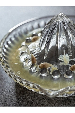 River World Limon Sıkacağı Cam Çok Renkli