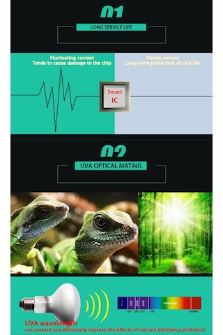 Lichen Sürüngen Isıtma Lambası, 50w E27 Uva Isıtma Lambası