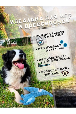 Zoolend Köpekler İçin Oyuncak, Yumuşak, Dinozor 269548834