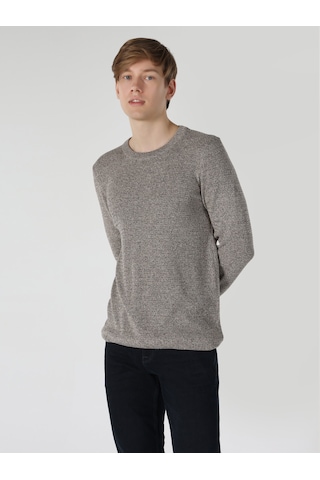 Colin's Slim Fit Kahverengi Erkek Triko Kazak CL1061674_Q1.V1_BRW