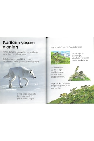 Tübitak Popüler Bilim Ilk Okuma Kitapları 45 Kitap Set (7+ Yaş)