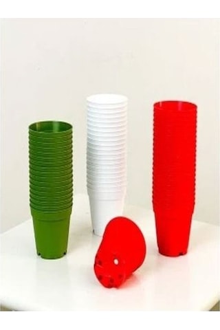 Katı Plastik Sukulent Saksısı 20 Adet Açık Yeşil 5.5 Cm