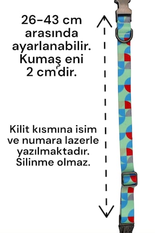Caramelos Köpek Tasması-küçük Irk Ve Orta Irk İsimli Tasma 02 Mavi - Yeşil