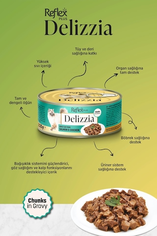 Plus Delizzia / Sos İçinde Parça Etli Somonlu & Tavuklu Yetişkin Kedi Maması 85g X 24 Adet