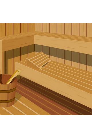 Hg Hijyenik Sauna Temizleyici