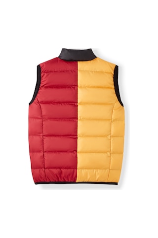 Gsstore Galatasaray Çocuk Yelek C252134 Sarı - Kırmızı
