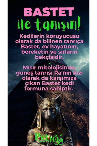 Petjoo 1.Bastet Yeşil-Pembe Qr'lı Kedi Künyesi