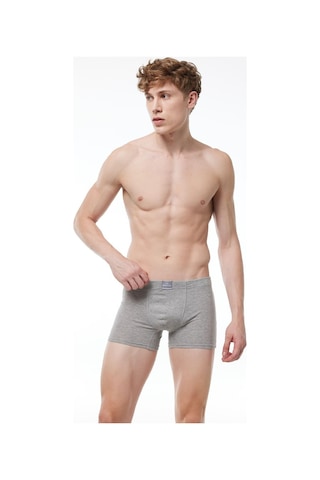Malabadi 074 Erkek Likralı Boxer-Gri