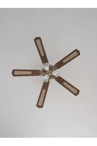 Woox İleri Geri Fonksiyonlu 5 Kanatlı Fan Ve Işıklı Uzaktan Kumandalı Tavan Vantilatörü,kahverengi