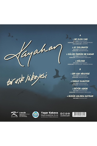Kayahan - Bir Aşk Hikayesi Plak